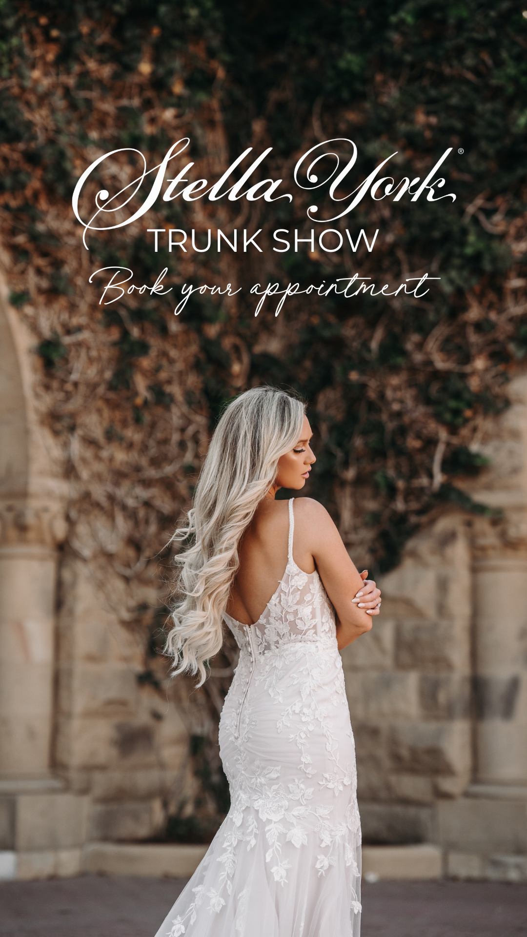 TRUNK SHOW, Stories